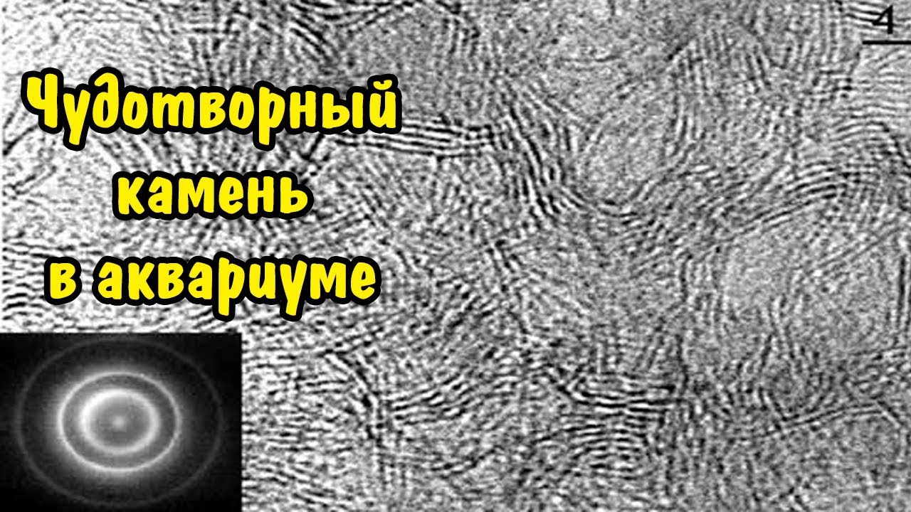 ШУНГИТ В АКВАРИУМЕ. THE MIRACULOUS STONE IN THE AQUARIUM