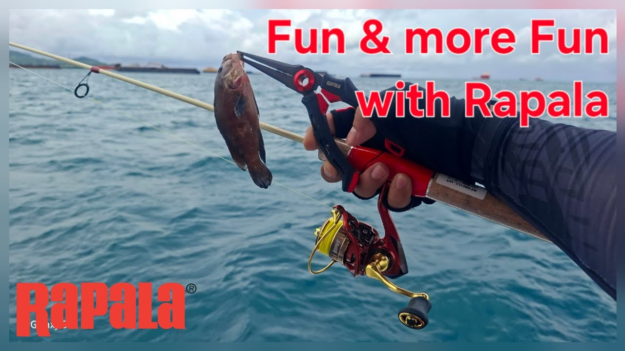 Sea trial‼️ Rapala Fippy Spin x Rapala Rage R500
