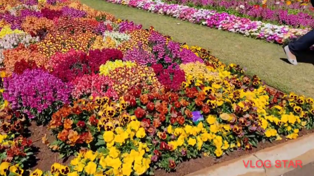 Queens Park Botanic Gardens (Toowoomba) part 1