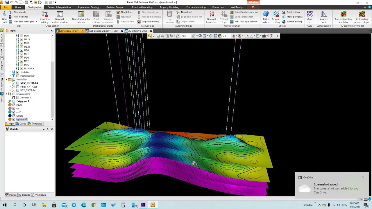 Petrel- creating Polygon& surface