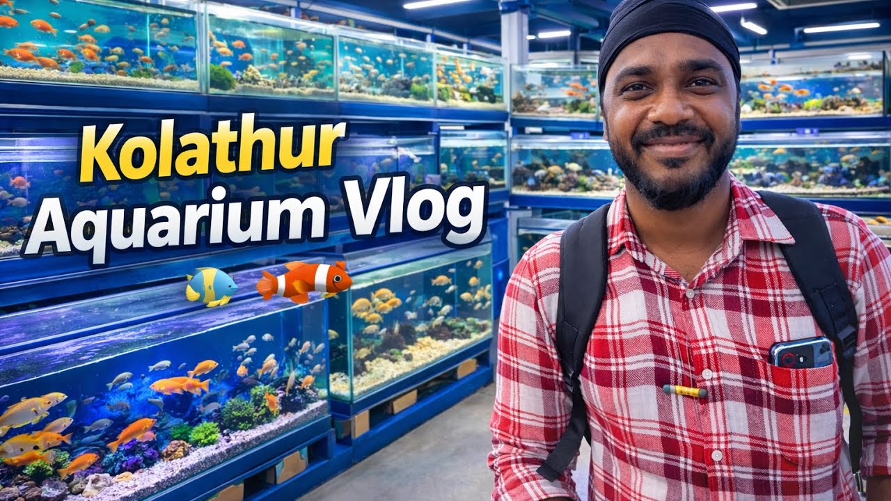 Kolathur Aquarium Vlog | Exploring Colorful Fish Tanks 🐠 | Tref 2026