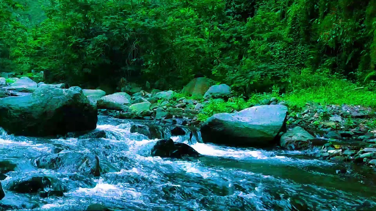 Calm Night River  10 Hours Relaxing Sleep Audio