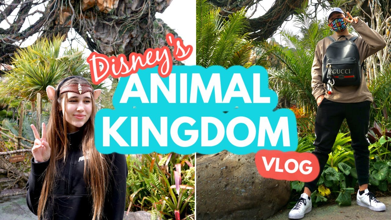 Animal Kingdom - ( Disney World Vlog )
