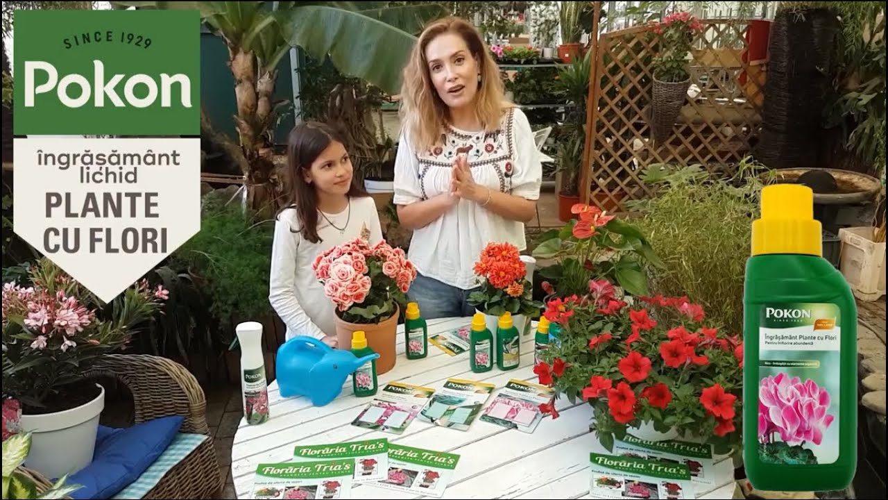 Floraria Trias - Pokon ingrasamant lichid pentru plante cu flori