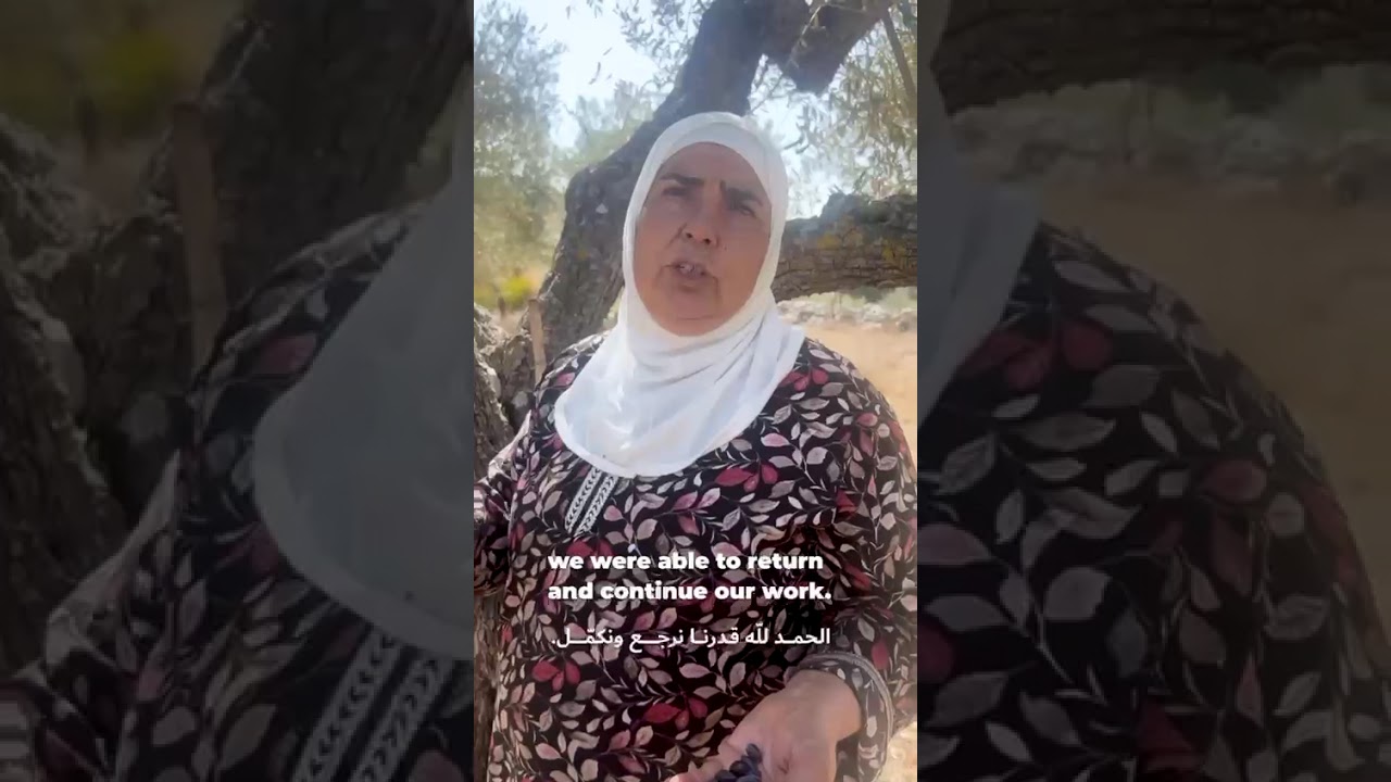UNIFIL and LAF secure olive harvests near Blue Line