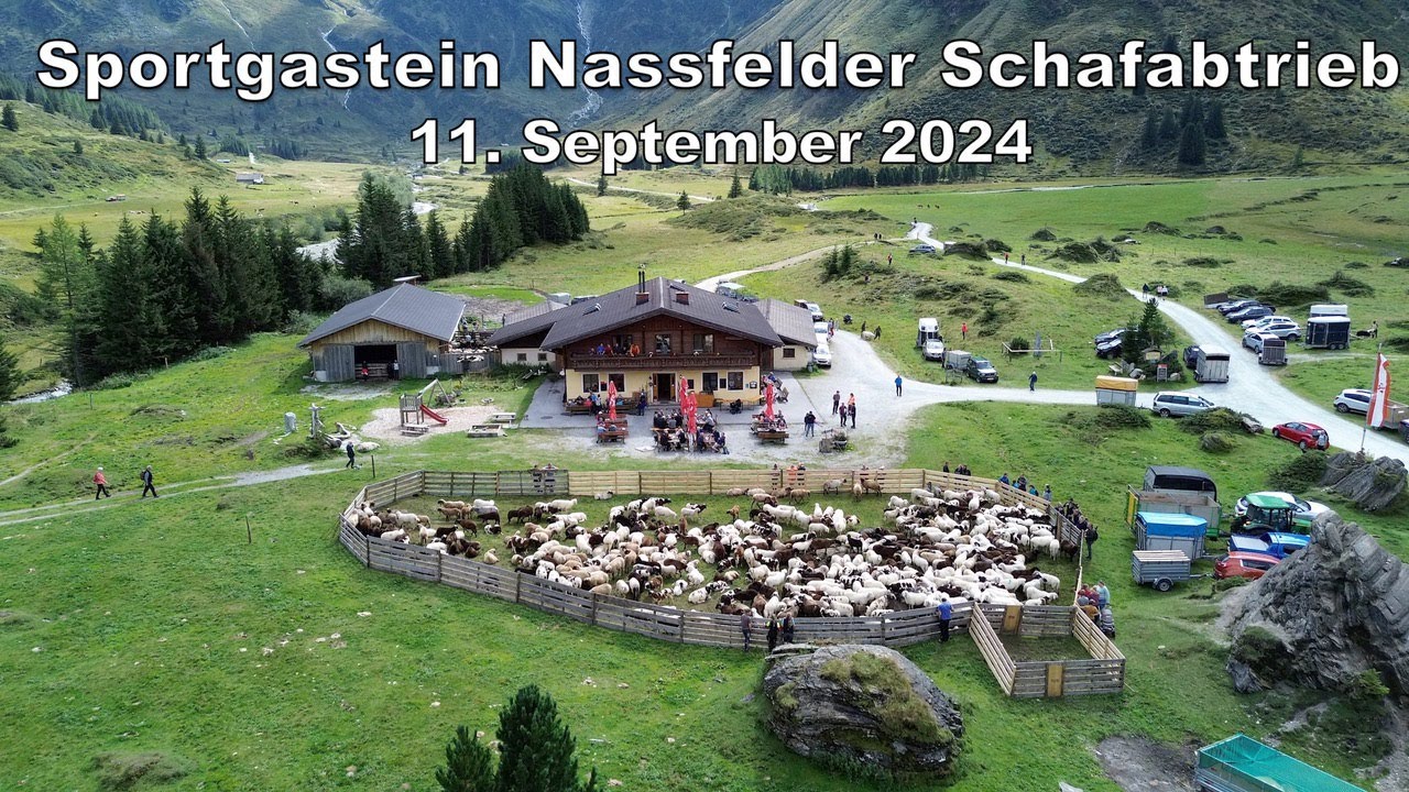 Sportgastein Nassfelder Schafabtrieb 11.09.2024