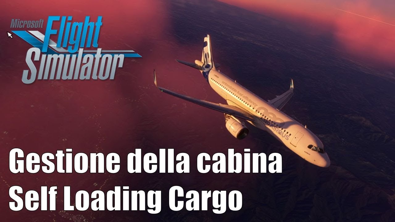 Gestiamo i passeggeri in volo - Self loading Cargo 1.6 - Flight Simulator [2/3]