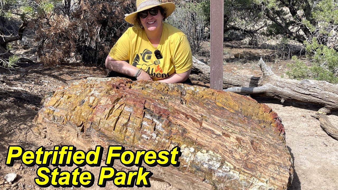 Escalante Petrified Forest State Park