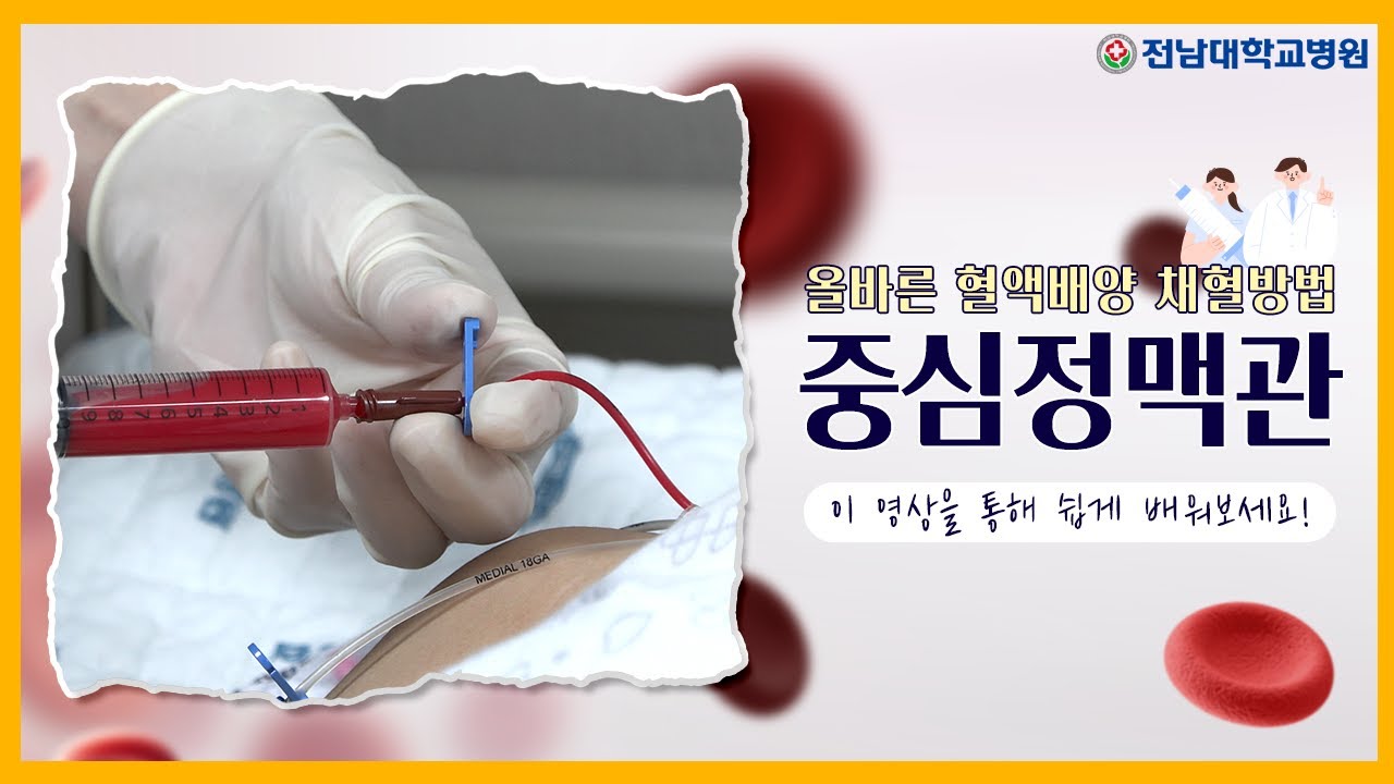 올바른 혈액배양 채혈방법 l 중심정맥관 l