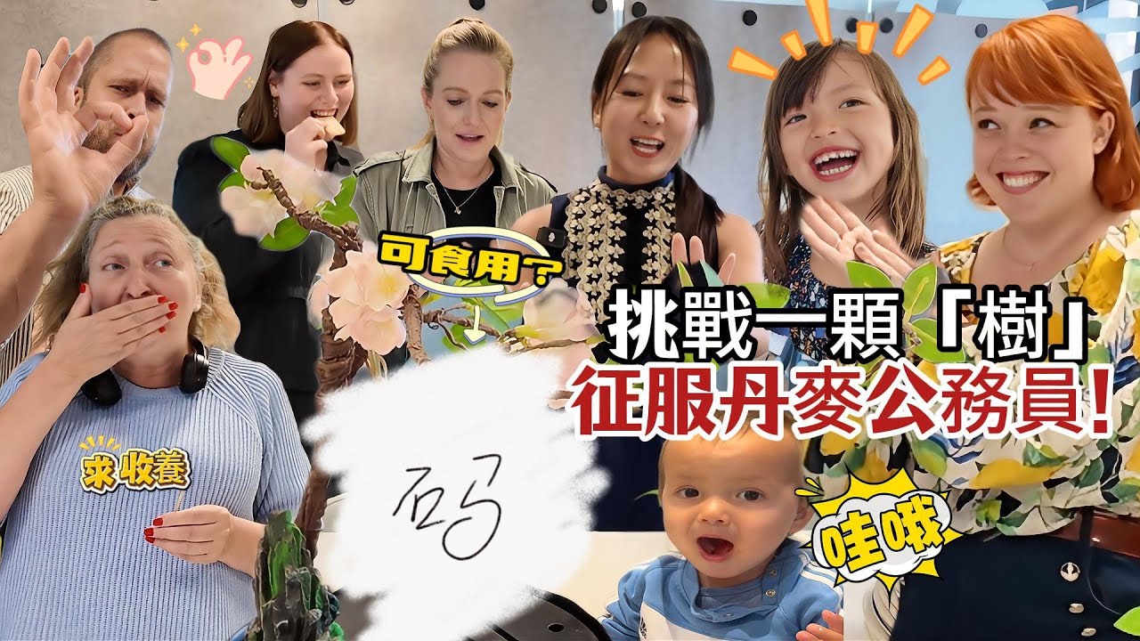 端了中国“一棵树”直接震撼丹麦公务员！吃完之后竟当场求领养！