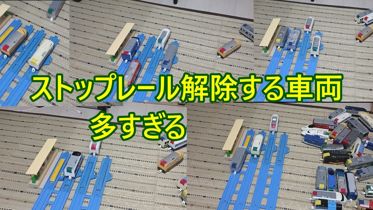 プラパラ第44回大運動会2025第一競技短距離走
