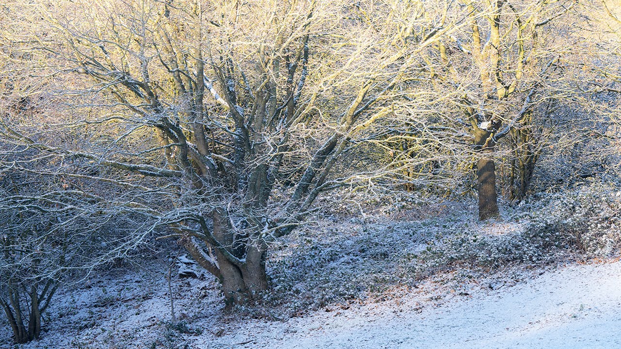 Keep Your Photography Skills In Shape With Local Landscape Projects
