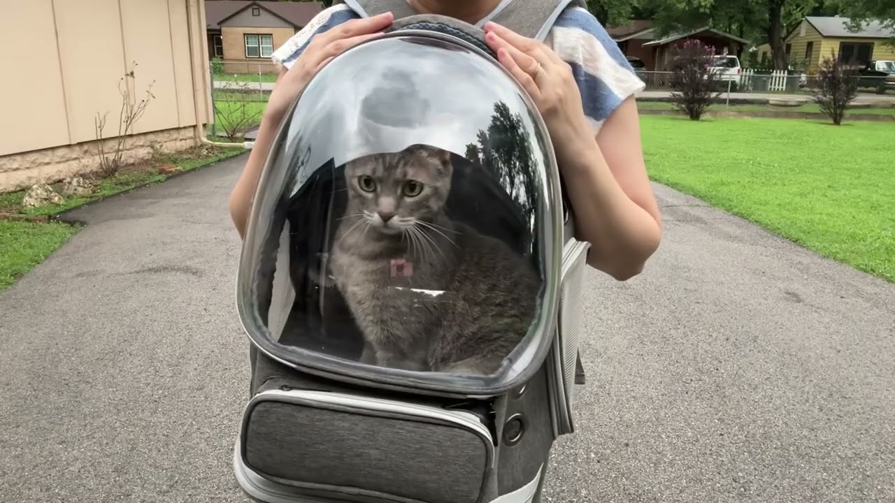 Cat backpack Carrier - Review ✨