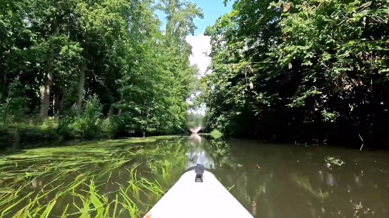 Mit dem Kajak durch den Wolfenbüttler Dschungel 🌳