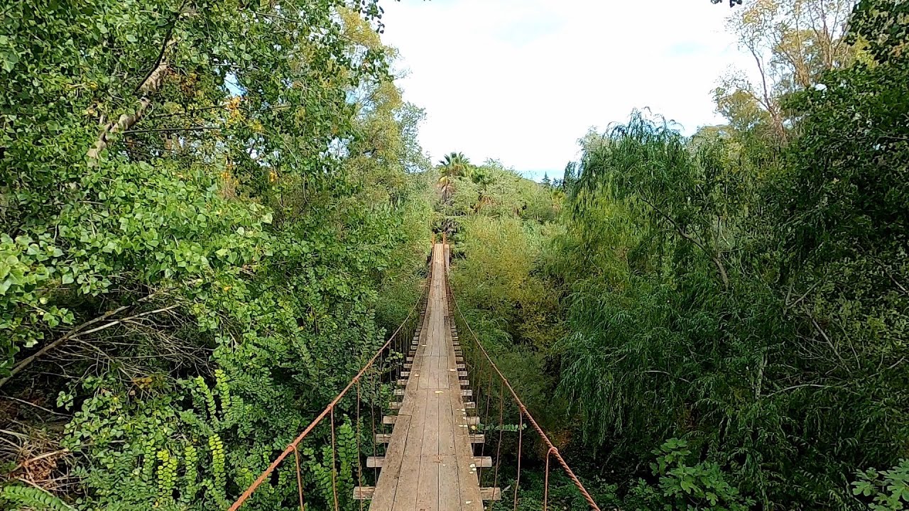 The suspension bridge of San Martín del Tesorillo