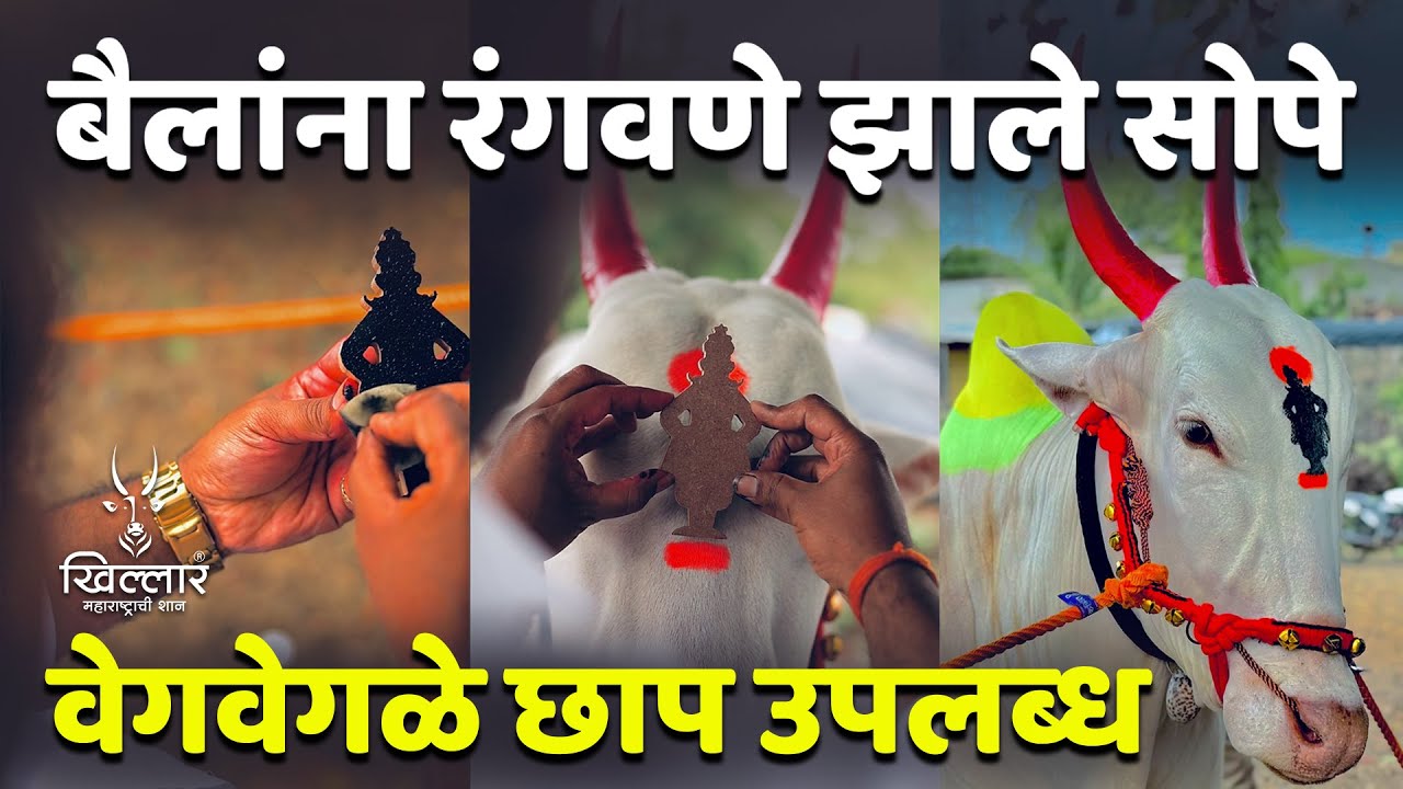 बेंदूर-बैलपोळ्याला गाय-बैल सजवणे झाले सोपे-कपिला साज99 22939435 | Khillar Maharashtrachi Shaan 2025