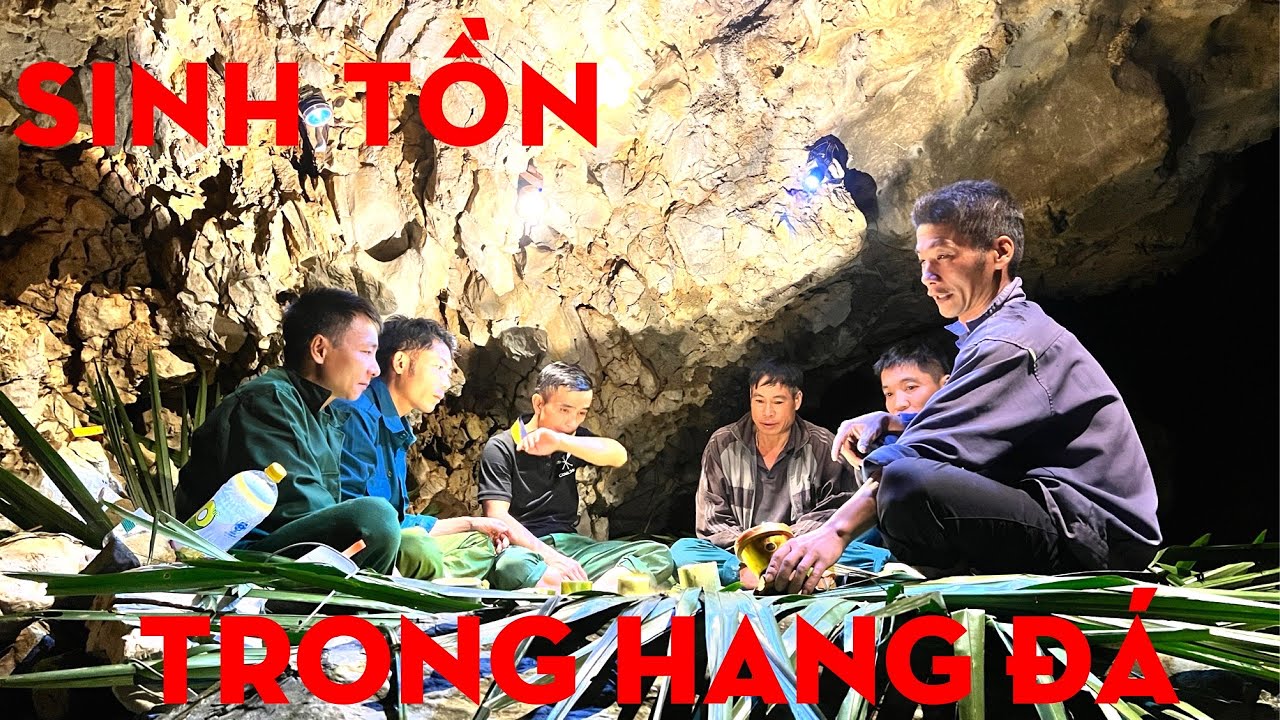 24H SINH TỒN TRONG RỪNG P2-TỰ THỢ RỪNG