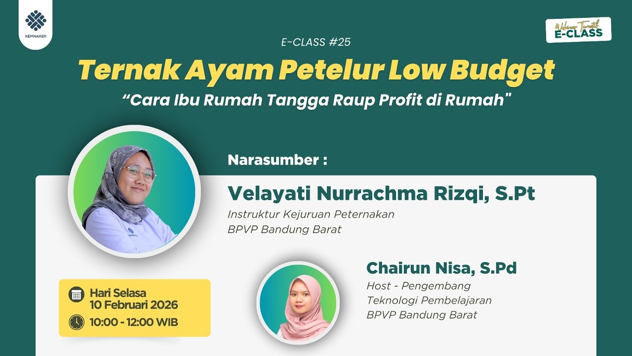 #24 E-Class : Ternak Ayam Petelur Low Budget - Cara Ibu Rumah Tangga Raup Profit di Rumah