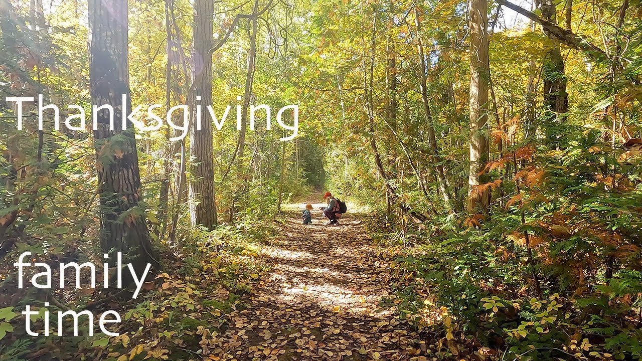 Sibbald Point Provincial Park, Jackson's Point