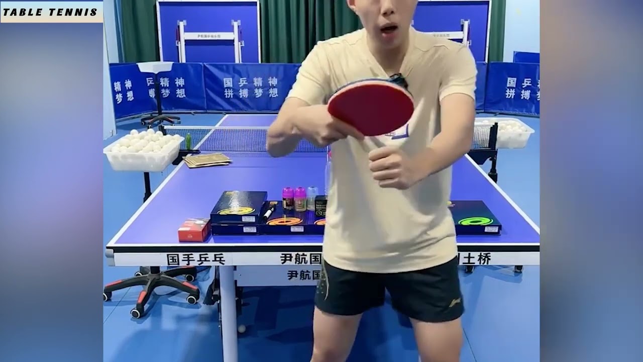 尹航反手位防守 | Yin Hang's Backhand Stance Defense