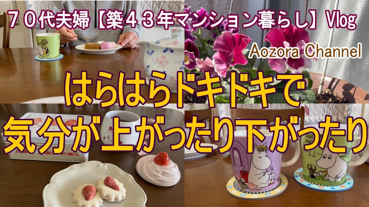 【年金生活】７７歳７２歳夫婦 日々の記録Vlog はらはらドキドキで気分が下がったり、上がったり / 12月もマメ夫が救急搬送 /  おやつはお年賀で / Japanese senior Vlog.
