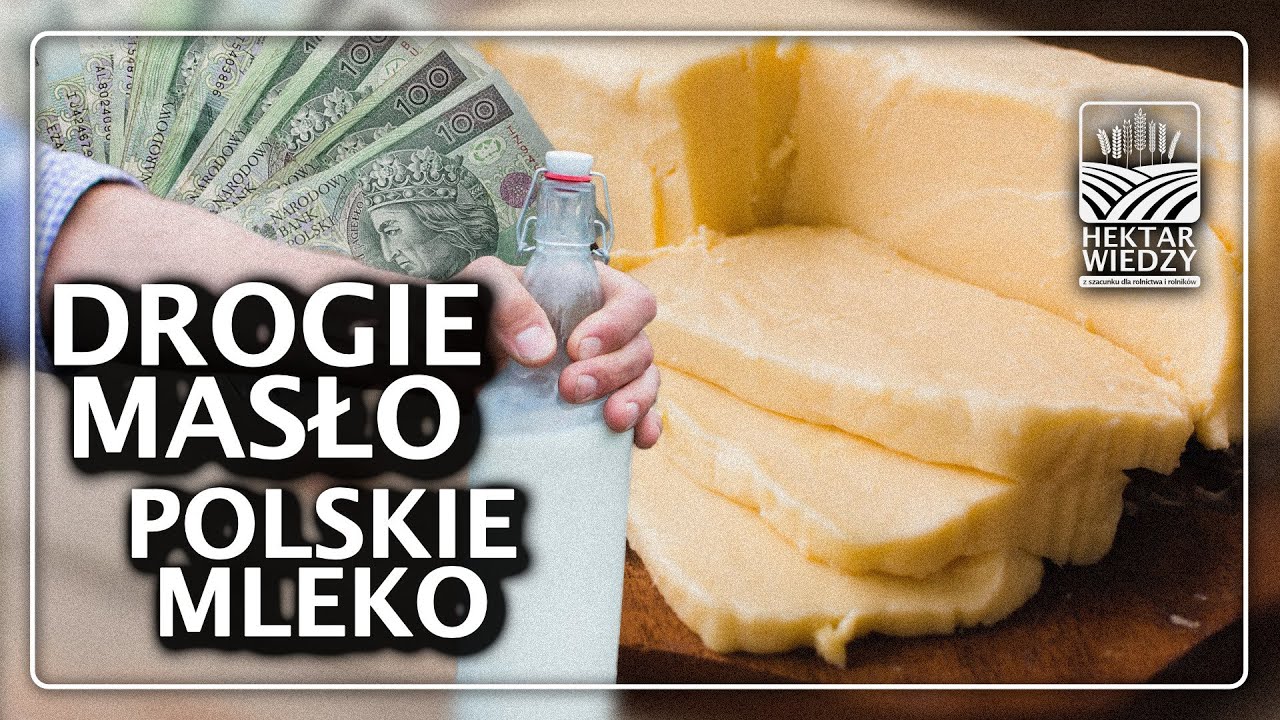 DROGIE MASŁO A POLSKIE MLEKO - HISTORIA PRAWDZIWA | #hektarwiedzy