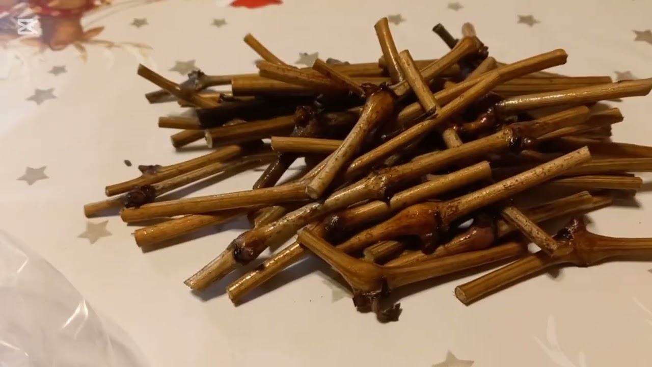 Zotyukert 48. - Szőlővesszők begyűjtése és tárolása