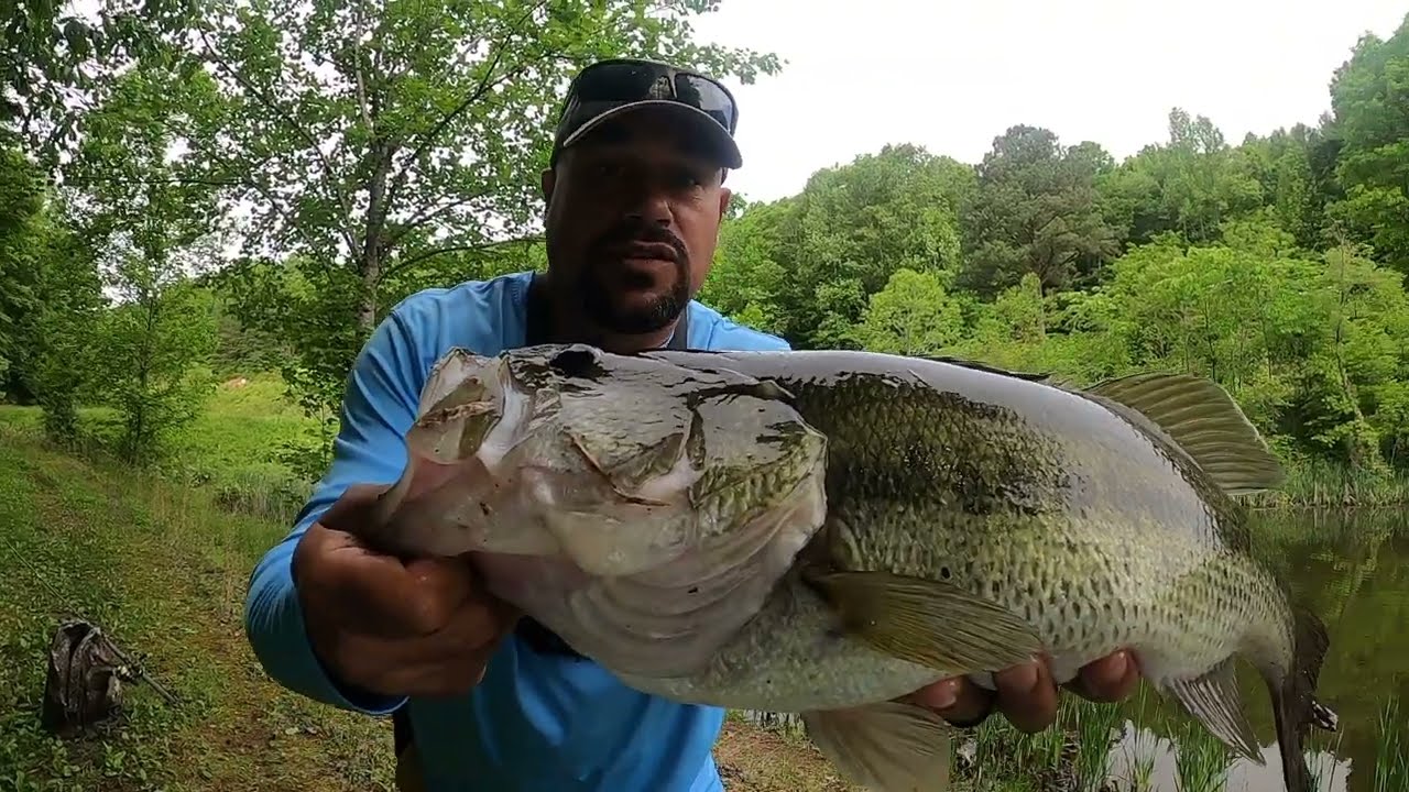 BLUEGILL fishing!!