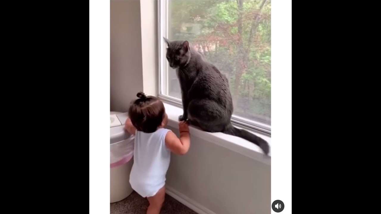 #jerry thought about it 😂😂 #cat #baby