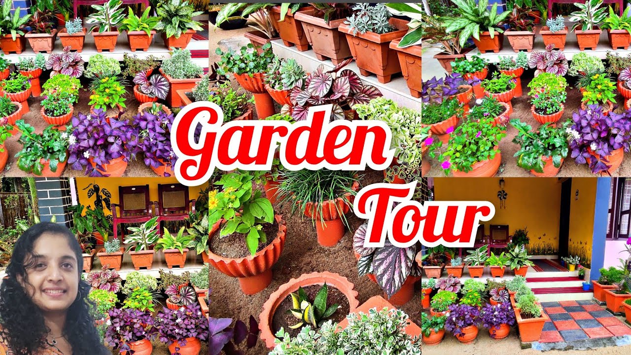 Sitout ഗാർഡൻ ഭംഗിയാക്കാം ഈസിയായി ഇനി ആർക്കും | gardening malayalam 