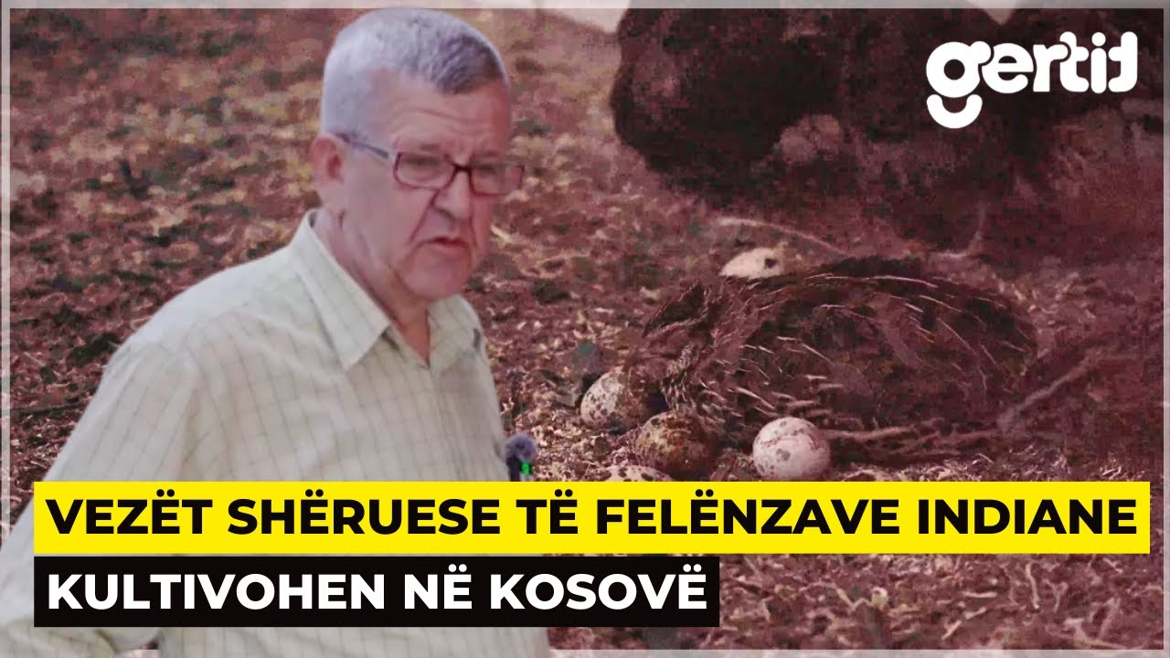 Vezët e Felënzave Indiane më kanë shëruar mua, prandaj sot i kultivoj ato | Histori të Jetes