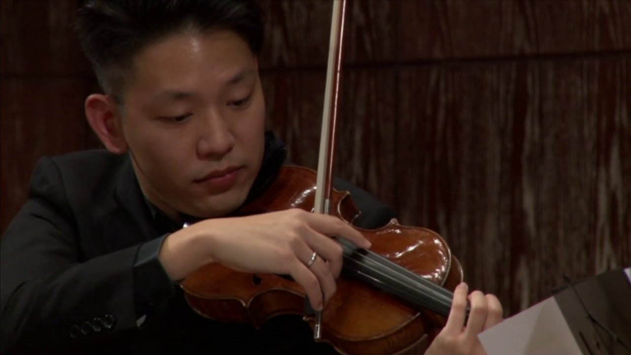 M. Ravel - Piano Trio in A minor II. Pantoum