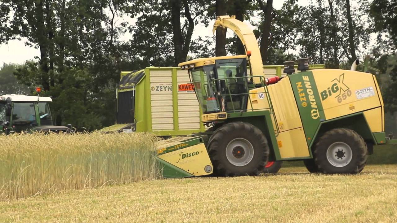 Lohnunternehmen Zeyn häckselt Roggen-GPS mit Krone Big X 650