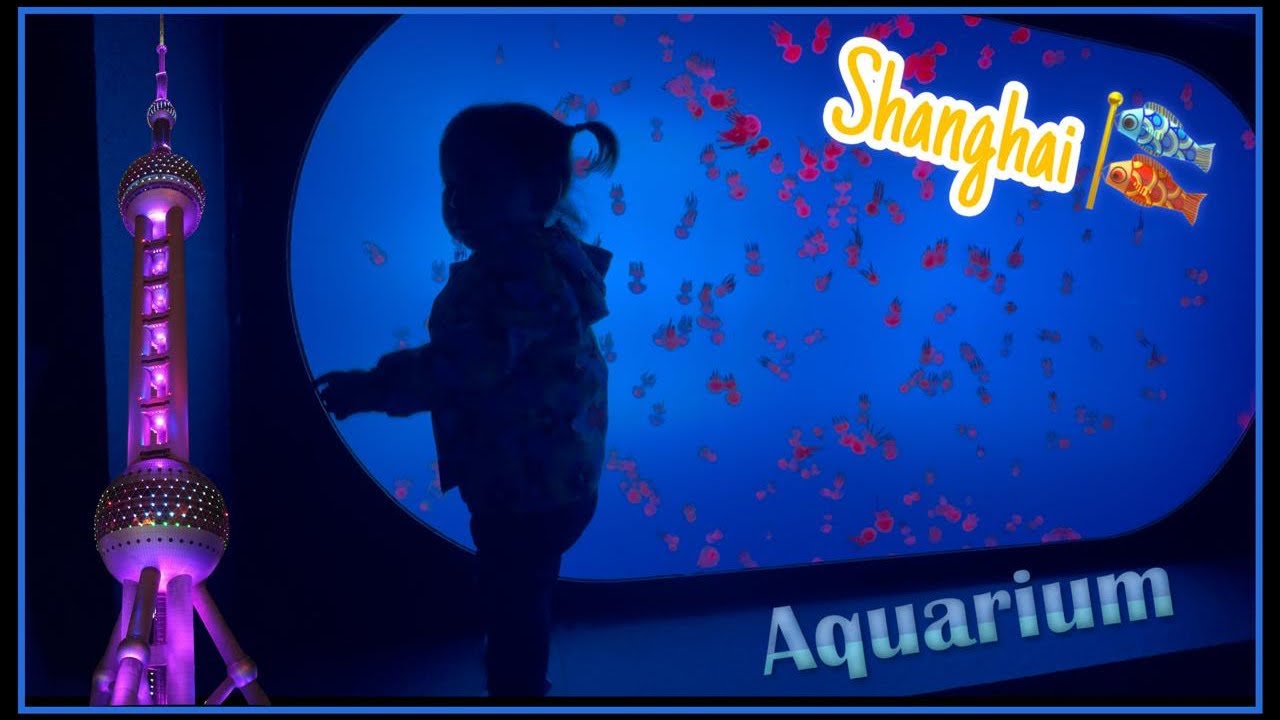 Travel vlog SHANGHAI ✈️🪼🐠🎏 2024