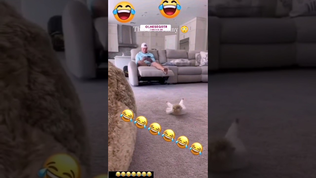 Sustos con mu&ntilde;ecas que se mueven 😂🤣
