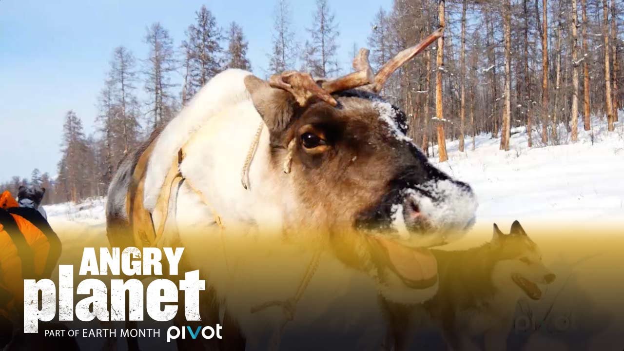 A Reindeer Sleigh is a Real Thing ('Angry Planet' Episode 1 Clip)