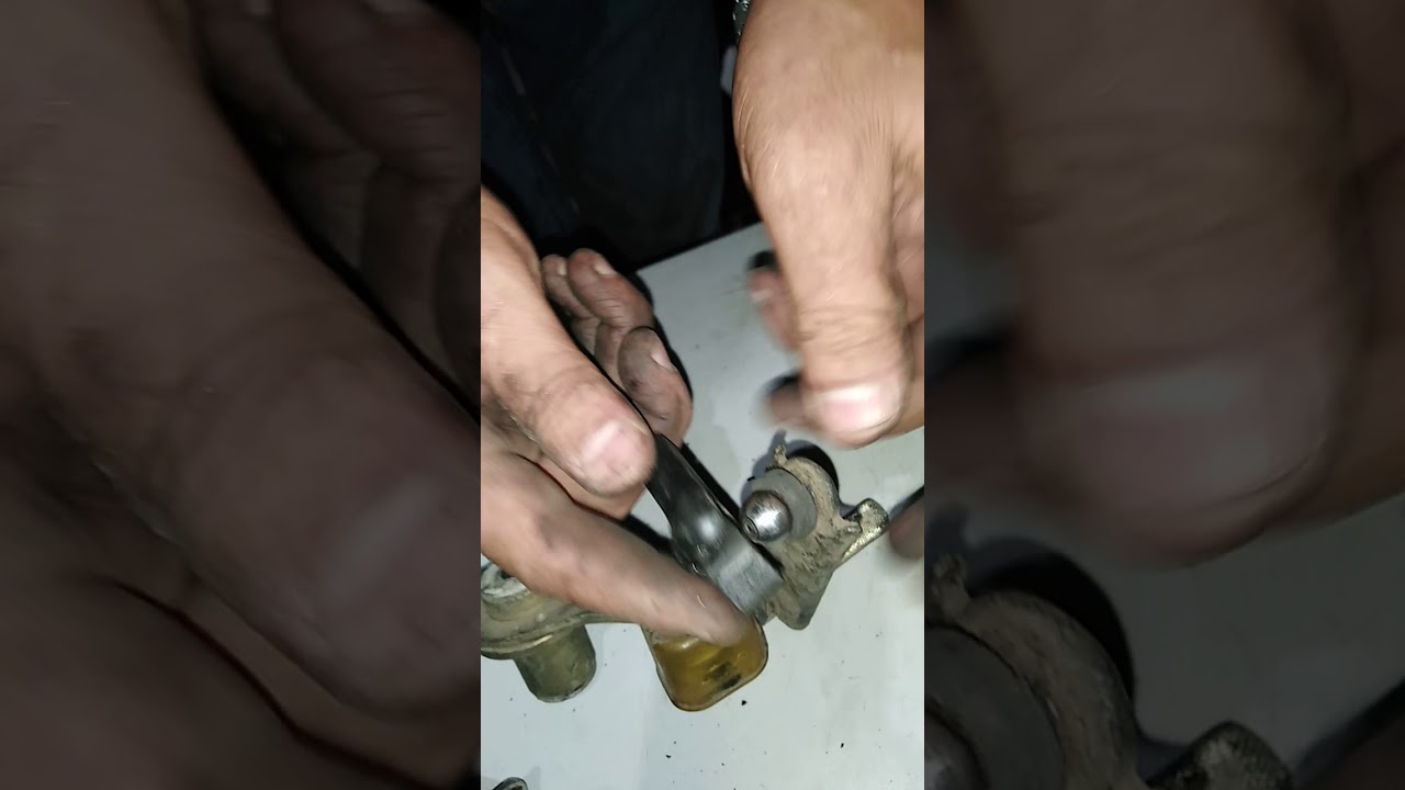 طريقه الكشف على جوده عقربه فتيس لانوس او نوبيرا استيراد مع ابراهيم الخراط ت ٠١٢٨٣٦٣٩٠٩٦