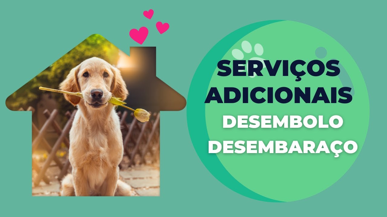Desembolo Desembaraço-Curso Estetica Pet em Domicilio