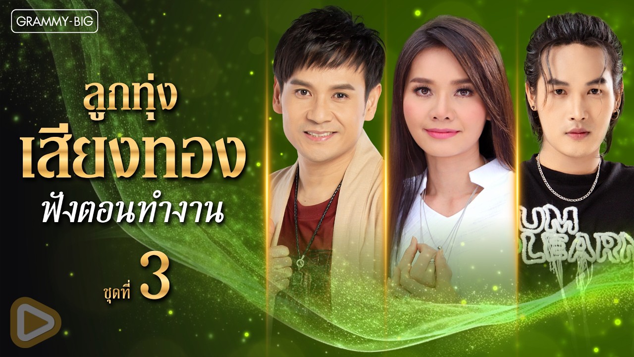 รวมเพลงฮิต ลูกทุ่งเสียงทอง ฟังตอนทำงาน ชุดที่ 3 l ไม่มีข้อแม้ตั้งแต่เริ่มต้น, หมาวัด [Longplay]