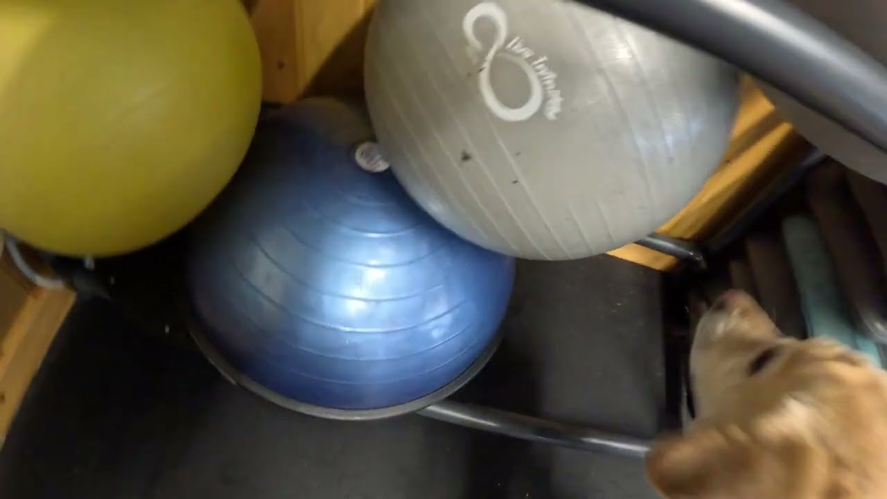 Elite-S : Fitness area  - Honesdale 3/8/26