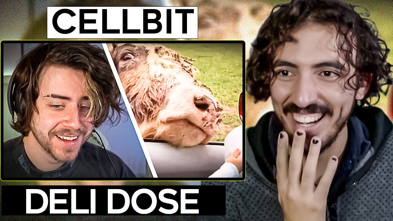 compilado de memes pra melhorar a sua semana - Cellbit | Leozin React