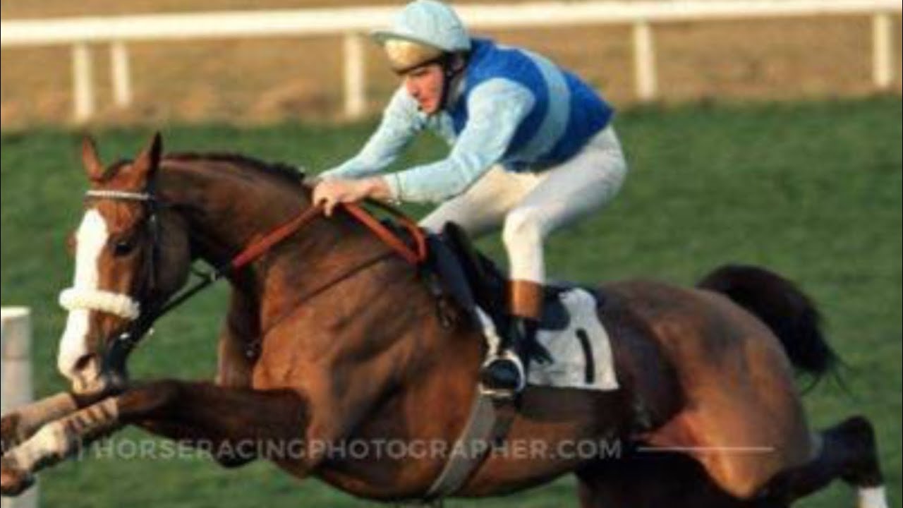 The Tingle Creek Chase.Every Winner 1979/2023.Lovely Footage of The Great Horse too.Racing Legends.