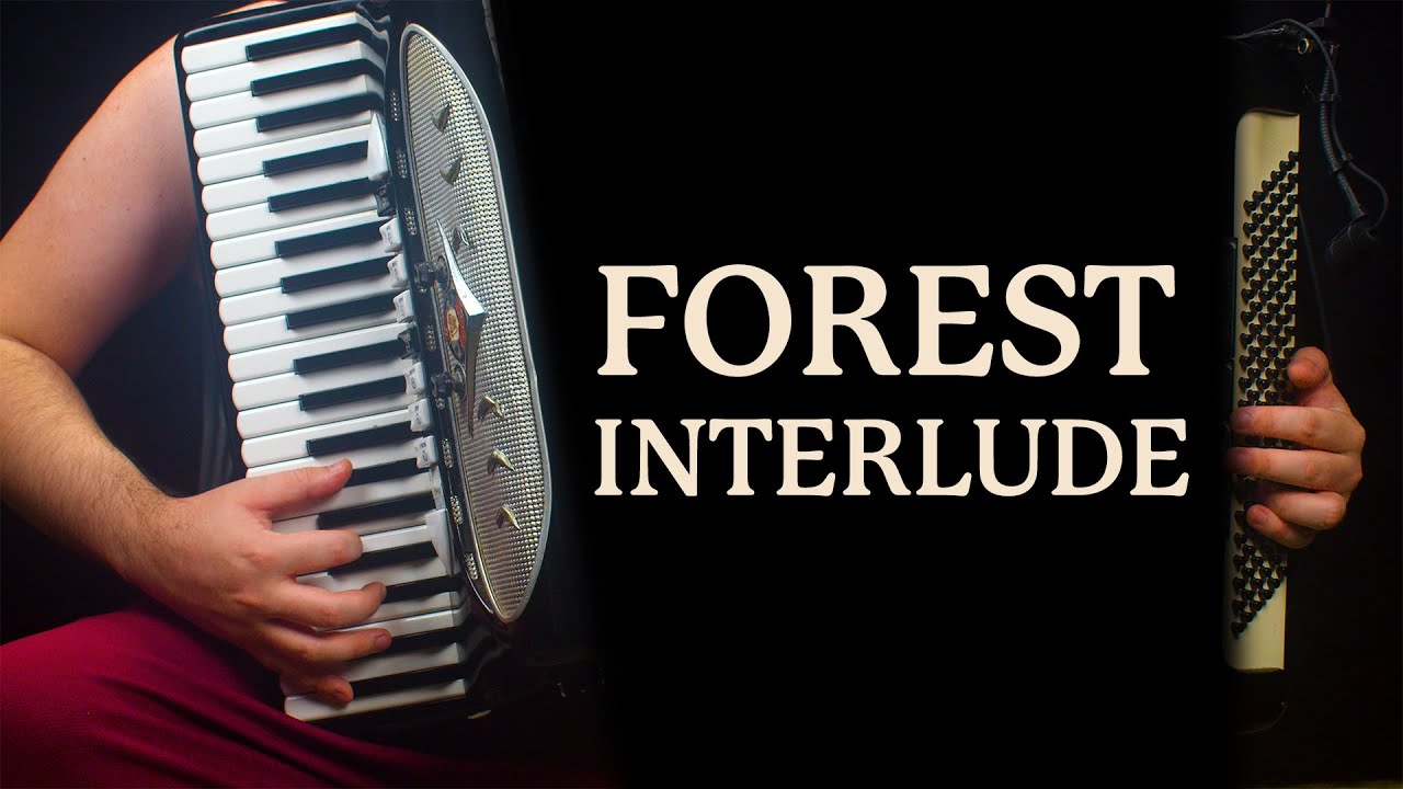 Donkey Kong Country 2 accordion cover - Forest Interlude