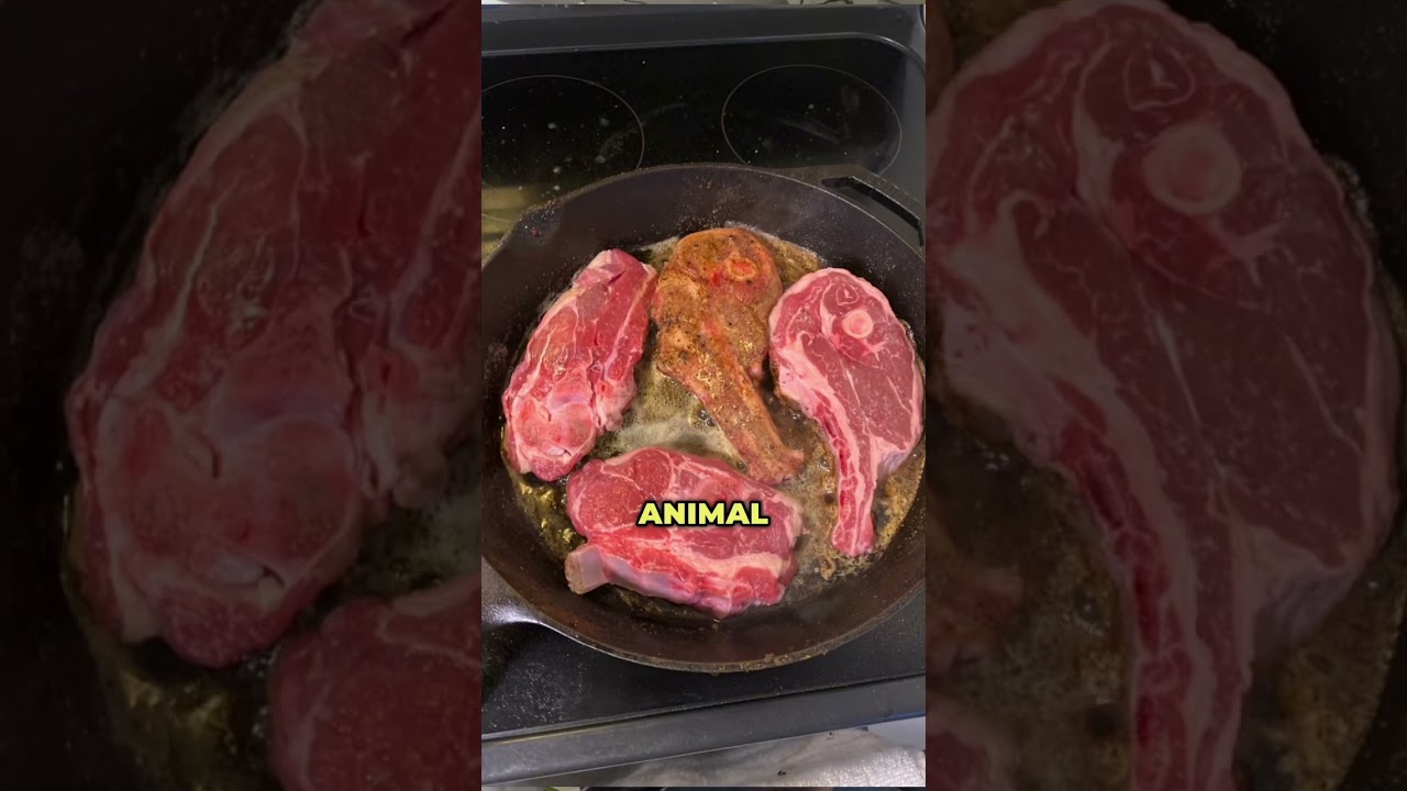 #HighProteinDiet #HighSaturatedFatDiet #AnimalBasedDiet #optimal  #MuscleGrowth #CognitiveFunction