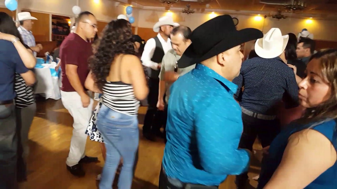 Ch terreno norteño la abeja miope y la peinada