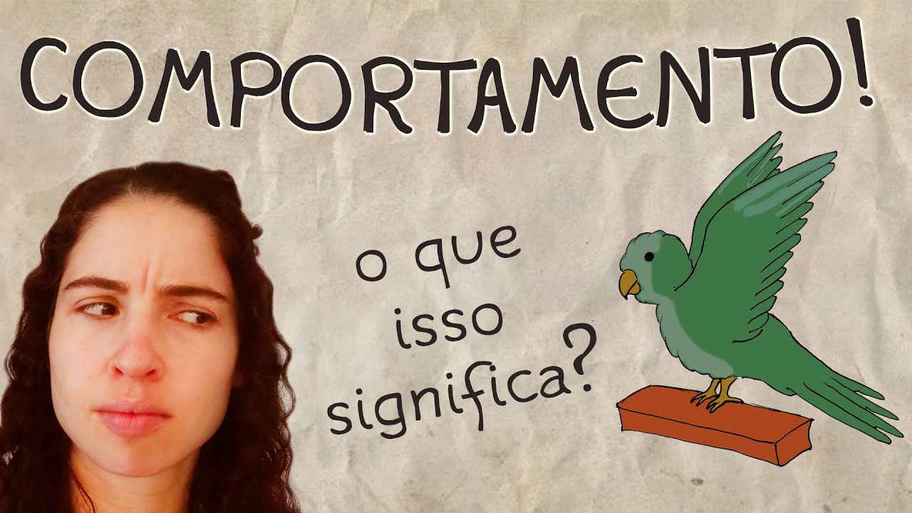 Sobre o Comportamento! - Parte 01