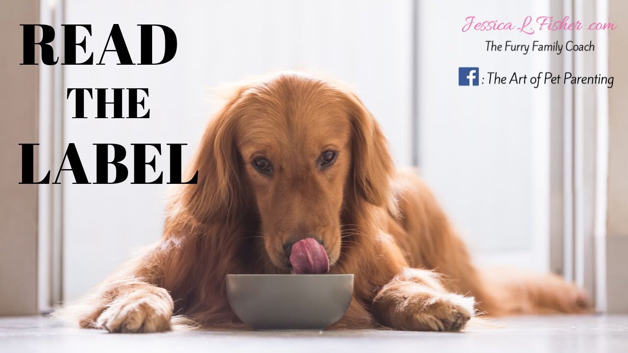 How To Read A Dog Food Label | Kirkland Brand Dog Food | Jessica L. Fisher, The Furry Family Coach