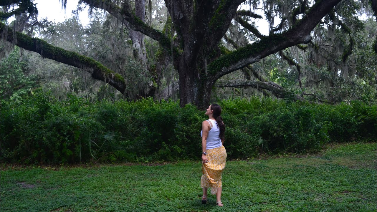Adventure at De Leon Springs State Park: Eco Boat Tour, Gators, and Oaks!