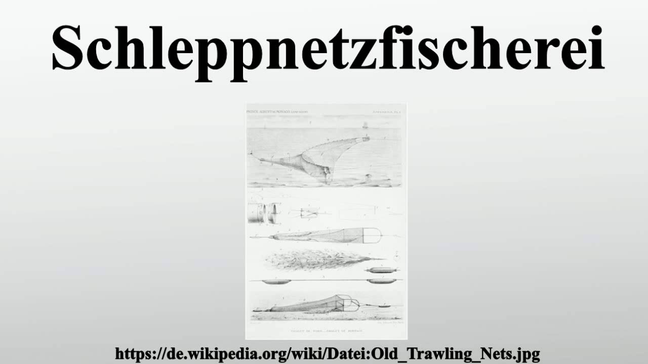 Schleppnetzfischerei