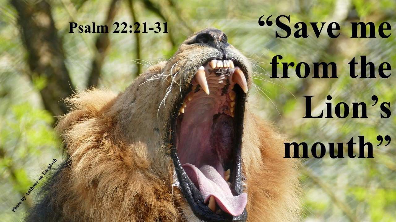 Psalm 22:29-31; February 20, 2026